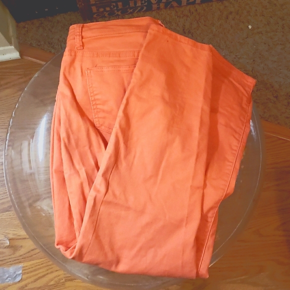 $5 BLACK FRIDAY WEEK SALE Bleu Coral Pants size 12 - Picture 4 of 5